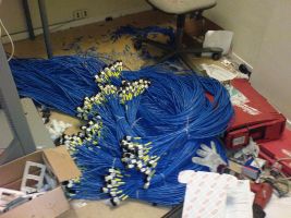 En mengde med cat6 kabler , klare for montering i Data skapet.